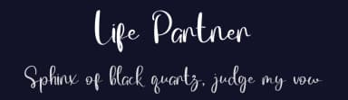 Life Partner by Inermedia Studio — Script Handwritten Font — thumbnail 2
