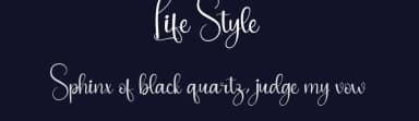 Life Style by Scratchones — Script Handwritten Font — thumbnail 2