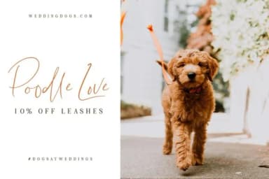 Lightheartedly Font by Creativeqube Design — Script Handwritten Font — thumbnail 3