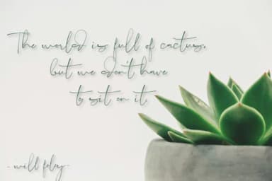 Lighthouse Script Font by Digital Hustler — Script Handwritten Font — thumbnail 5