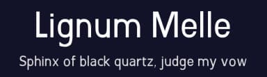 Lignum Melle by Igor  Berck — Sans Serif Font — thumbnail 2