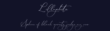 Lillywhite by Storytype Studio — Script Handwritten Font — thumbnail 2