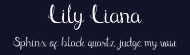 Lily Liana by Ronin Design — Script Handwritten Font — thumbnail 2