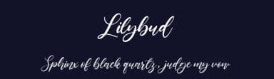 Lilybud by Balpirick Studio — Script Handwritten Font — thumbnail 2