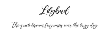 Lilybud by Balpirick Studio — Script Handwritten Font — thumbnail 1