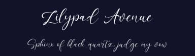 Lilypad Avenue by Kong Font — Script Handwritten Font — thumbnail 2