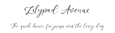 Lilypad Avenue by Kong Font — Script Handwritten Font — thumbnail 1