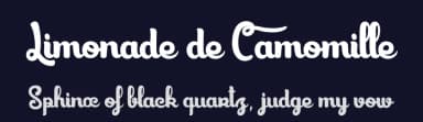 Limonade de Camomille by dcoxy - Greg Medina — Script Handwritten Font — thumbnail 2