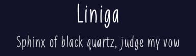 Liniga by Deepak Dogra — Script Handwritten Font — thumbnail 2