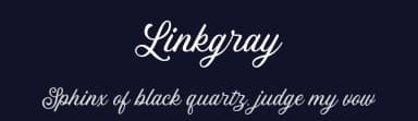 Linkgray by Letterhend Studio — Script Handwritten Font — thumbnail 2