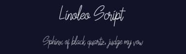Linoleo Script by Twicolabs Fontdation — Script Handwritten Font — thumbnail 2