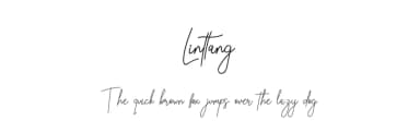 Linttang by erik5541 — Script Handwritten Font — thumbnail 1