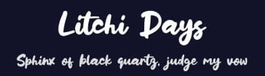 Litchi Days by Khurasan — Script Handwritten Font — thumbnail 2