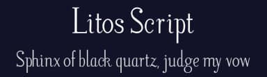 Litos Script by Decio Guanabarino — Sans Serif Font — thumbnail 2