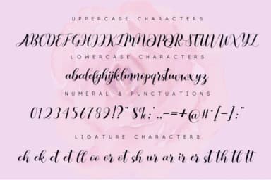 Little Heart Font by Bluestudio — Script Handwritten Font — thumbnail 3