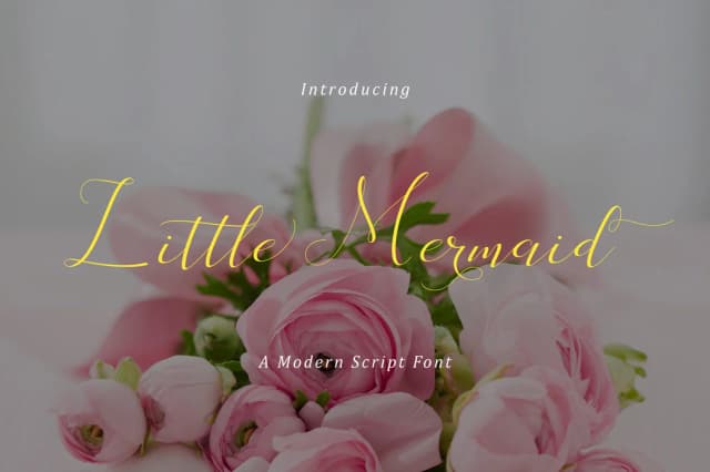 Little Mermaid Font by No Gravity Type — Script Handwritten Font