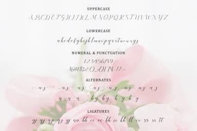 Little Mermaid Font by No Gravity Type — Script Handwritten Font — thumbnail 8