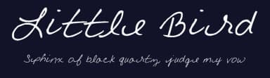Little Bird by FontPanda — Script Handwritten Font — thumbnail 2