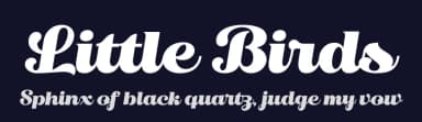 Little Birds by Senzana — Script Handwritten Font — thumbnail 2