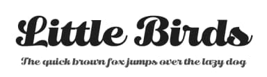 Little Birds by Senzana — Script Handwritten Font — thumbnail 1
