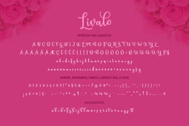 Livalo Font by The Traveling Fox — Script Handwritten Font — thumbnail 3