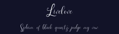 Livelove by YonType Studio — Script Handwritten Font — thumbnail 2