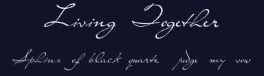 Living Together by Intellecta Design — Script Handwritten Font — thumbnail 2