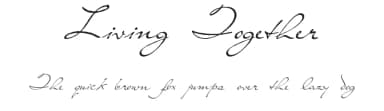 Living Together by Intellecta Design — Script Handwritten Font — thumbnail 1