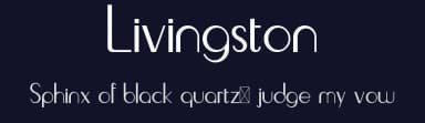 Livingston by Edric Studio — Script Handwritten Font — thumbnail 2
