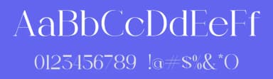 Lofty Chic by TypeClassHeroes — Serif Font — thumbnail 3