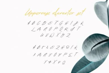 Lolotte Font by nantia — Script Handwritten Font — thumbnail 8