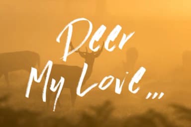 Long Days Font by aldedesign — Script Handwritten Font — thumbnail 6