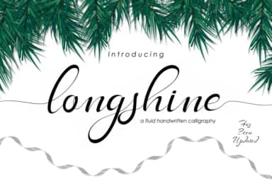 Longshine Font by BONJOURTYPE — Script Handwritten Font — thumbnail 1