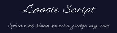 Loosie Script — Script Handwritten Font — thumbnail 2
