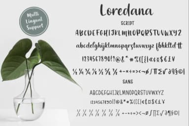 Loredana Font by Pasha Larin — Script Handwritten Font — thumbnail 6
