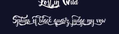 Lost in Wild by Francis Studio / Pendesal Studio — Script Handwritten Font — thumbnail 2