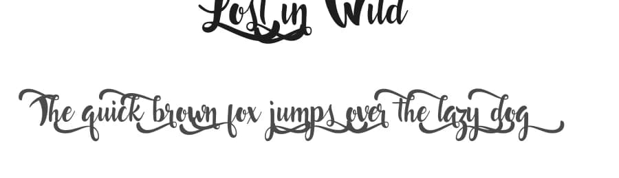 Lost in Wild by Francis Studio / Pendesal Studio — Script Handwritten Font — preview 1