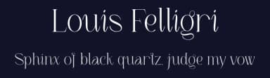 Louis Felligri by Jolicia Type Foundry — Serif Font — thumbnail 2
