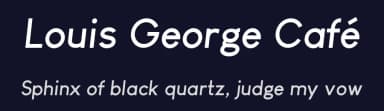 Louis George Café by Chen Yining — Sans Serif Font — thumbnail 2