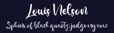 Louis Nelson by Vztype Studio — Script Handwritten Font — thumbnail 2