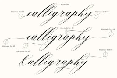 Love Bird Font by Bal Studio — Script Handwritten Font — thumbnail 4