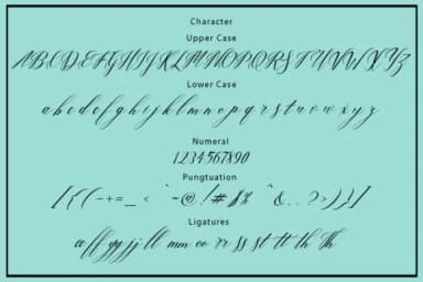 Love Bird Font by Bal Studio — Script Handwritten Font — thumbnail 6