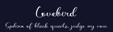 Lovebird by Letterafa Studio — Script Handwritten Font — thumbnail 2