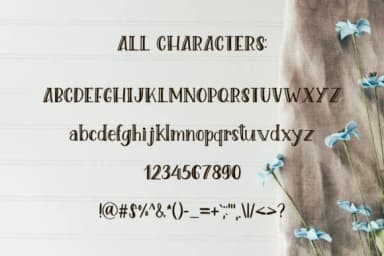 Lovely Creature Font by Sentimental Postman — Script Handwritten Font — thumbnail 3