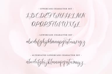 Lovestrong Font by rometheme — Script Handwritten Font — thumbnail 6