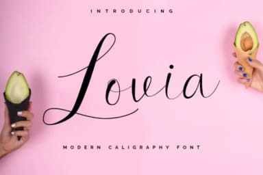 Lovia Font by Earlyfair Studio — Script Handwritten Font — thumbnail 1