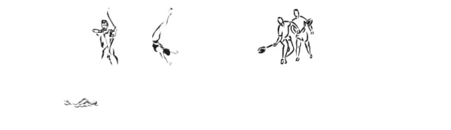 LP Sports 2 by ShadowyMist — Dingbats Font