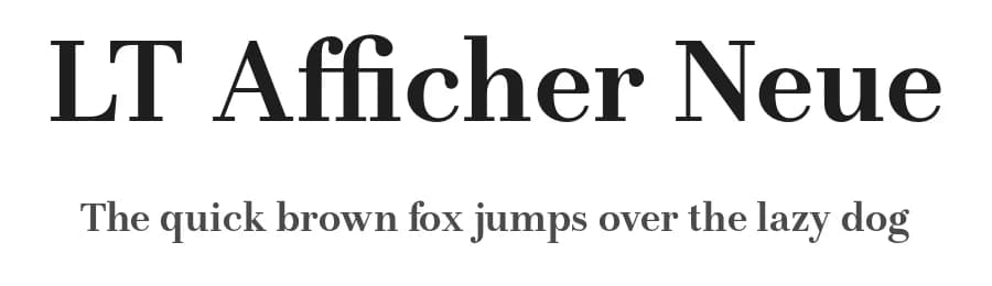 LT Afficher Neue by LyonsType — Serif Font