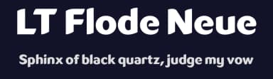 LT Flode Neue by LyonsType — Sans Serif Font — thumbnail 2