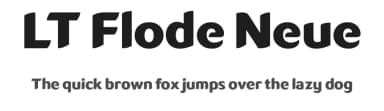 LT Flode Neue by LyonsType — Sans Serif Font — thumbnail 1